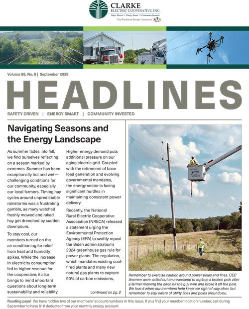 Image link to current newsletter